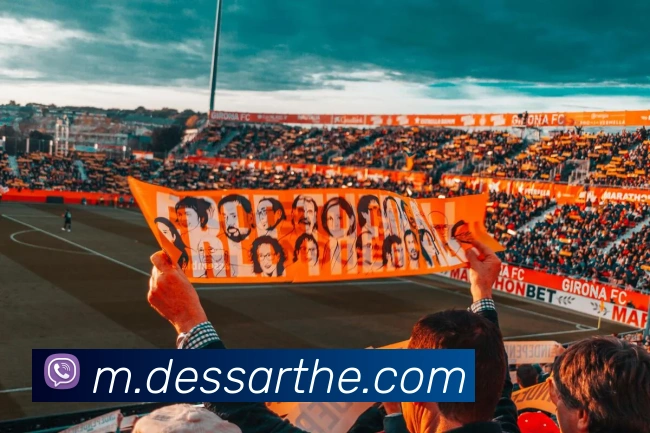 体育直播服务